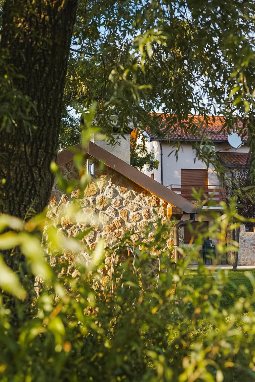 Villa Leko Dream House Cetina Екстер'єр фото